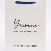 Пакет подарочный ламинированный вертикальный &laquo;Учителю&raquo;, 31&times;40&times;11.5 см