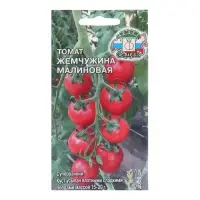 Семена Томат "Жемчужина Малиновая", 0,2 г Семена Томат "Жемчужина Малиновая", 0,2 г