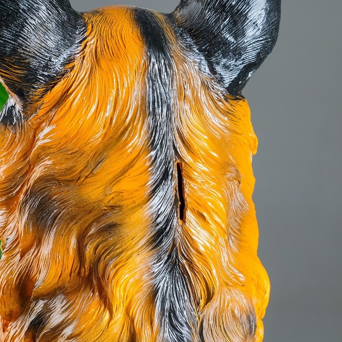 Копилка Копилка "Колли" 35х34х55см