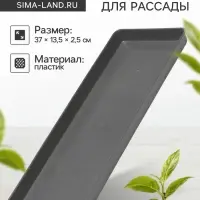 Поддон для рассады, 37&times;13.5&times;2.5 см, пластик, серый