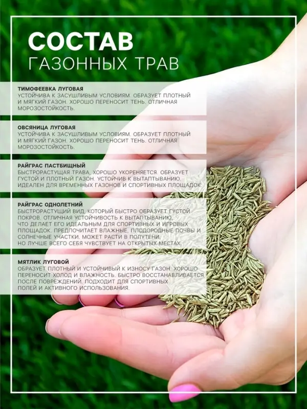 Газонная травосмесь &laquo;Игровая&raquo;, 1 кг