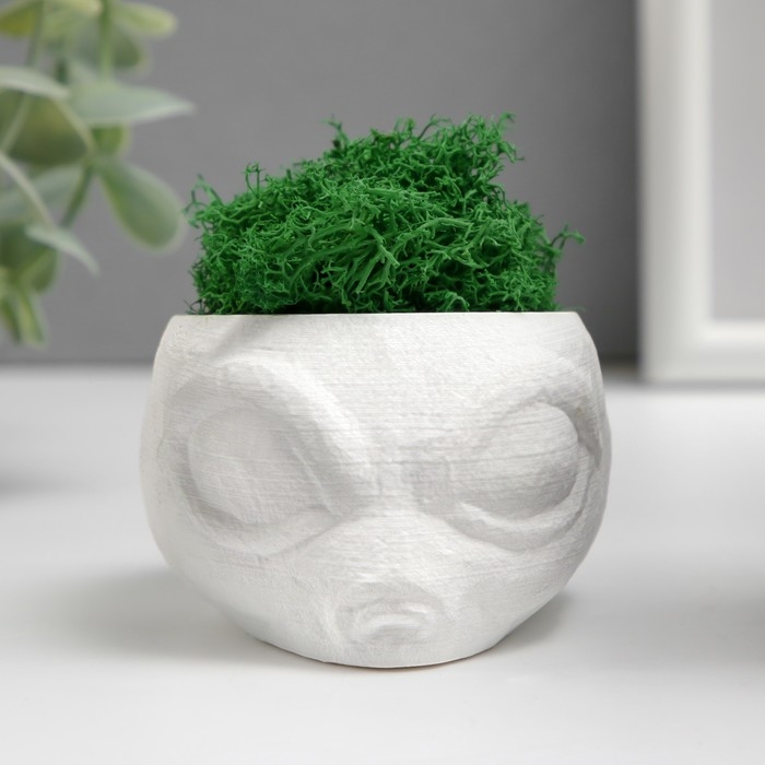 Кашпо бетонное  Кашпо бетонное "Пришелец" высота 5 см, диаметр 6 см белый со мхом (мох зелен. стабилизир)