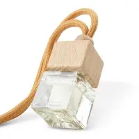 Ароматизатор AVS AQP-01 AQUA PERFUME (аром. Invictus/Непокоренный) (жидкостный) Spain /Madrid