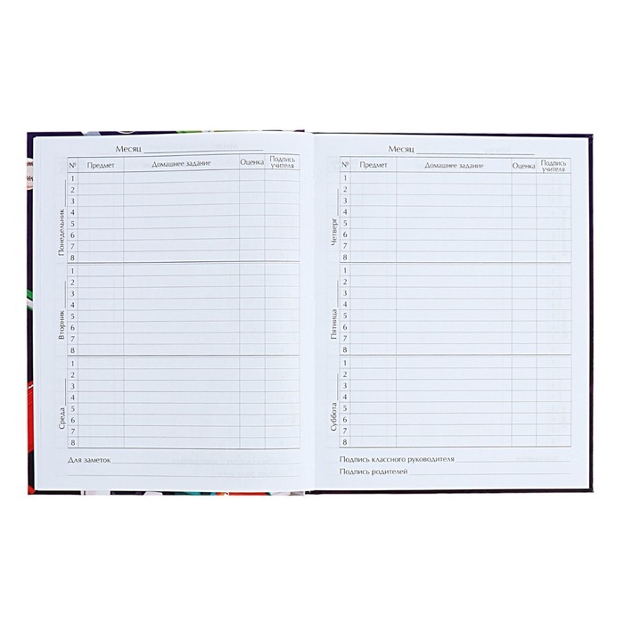 Дневник для 1-4 классов "Снова в школу. Коллаж", твёрдая обложка, глянцевая ламинация, 48 листов