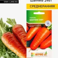 Семена Морковь &laquo;Шантенэ 2461&raquo;, 2 г, &laquo;Агросс&raquo;