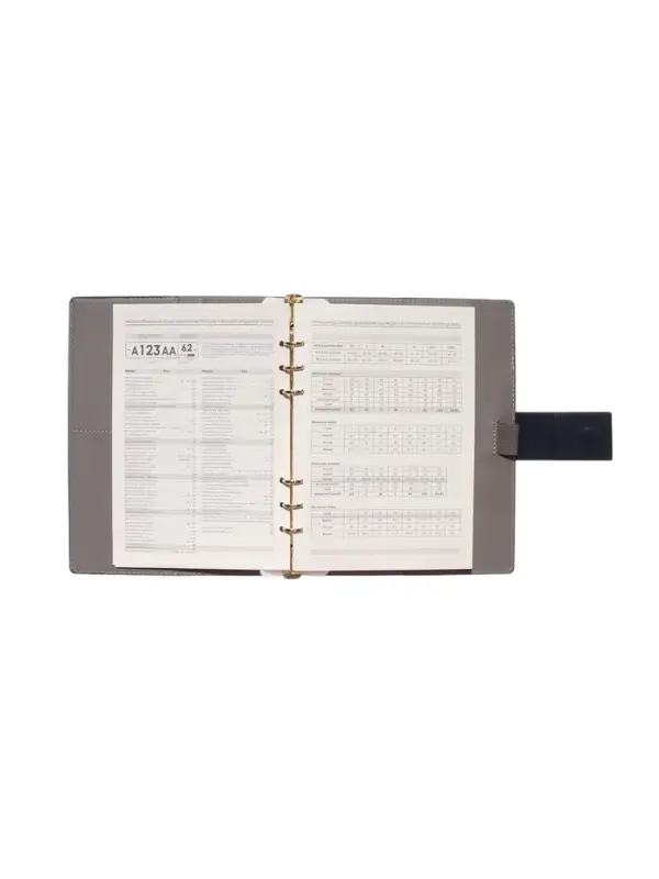 Органайзер на кольцах, А5, с хлястиком, 80л, линия, к/зам, Синий Органайзер на кольцах, А5, с хлястиком, 80л, линия, к/зам, Синий