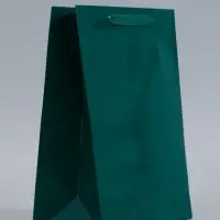Пакет подарочный ламинированный &laquo;Зелёный&raquo;, 26&times;32&times;12 см