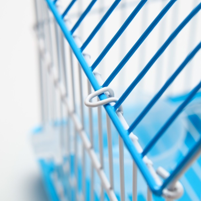 Клетка для грызунов укомплектованная RT-2c, 23 х 16,5 х 20 см, голубая Клетка для грызунов укомплектованная RT-2c, 23 х 16,5 х 20 см, голубая