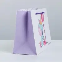 Пакет подарочный, упаковка, &laquo;Приятности&raquo;, 19.5&times;14.5&times;8.5 см