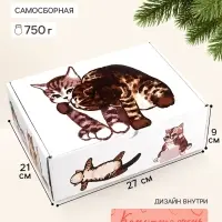 Коробка-шкатулка, подарочная &laquo;Котики&raquo;, 27&times;21&times;9 см