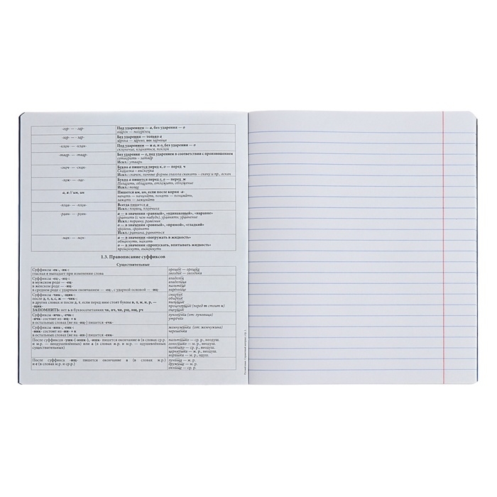 Комплект предметных тетрадей 48 листов, 12 штук, ErichKrause Комплект предметных тетрадей 48 листов, 12 штук, ErichKrause "Manga", мелованный картон, блок офсет белизна 100%, инфо-блок