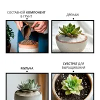 Речной песок "Рецепты дедушки Никиты", сухой, фр 1,6-2,5, крошка, 0,5 кг