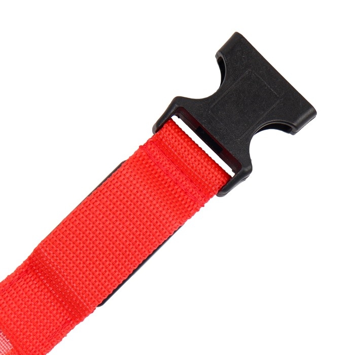 Ошейник с подсветкой размер S, ОШ 35-43 х 2,5 см, 3 режима свечения красный Ошейник с подсветкой размер S, ОШ 35-43 х 2,5 см, 3 режима свечения красный