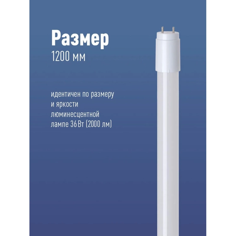 Лампа светодиодная Космос Lksm_LED20wG13T865GL 20Вт G13 Т8 6500К холод.бел