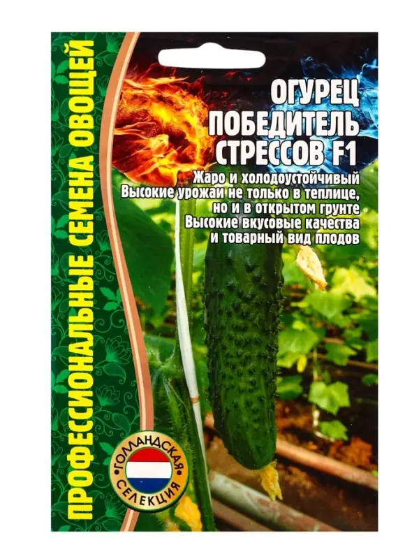 Семена Огурец Победитель Стрессов F1 5 шт. 12.29 г