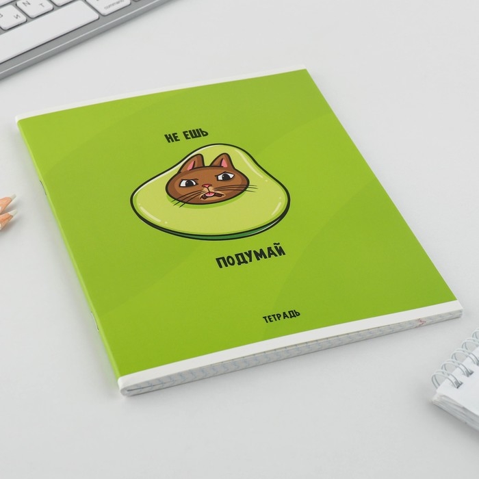 Тетрадь в клетку, 48 листов А5 на скрепке МИКС «1 сентября: Котики», обложка мелованный картон 230 гр внутренний блок №1, белизна 96% Тетрадь в клетку, 48 листов А5 на скрепке МИКС «1 сентября: Котики», обложка мелованный картон 230 гр внутренний блок №1, белизна 96%