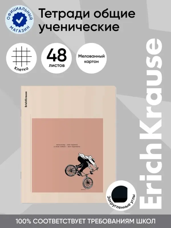 Тетрадь 48 листов в клетку ErichKrause Street Ride