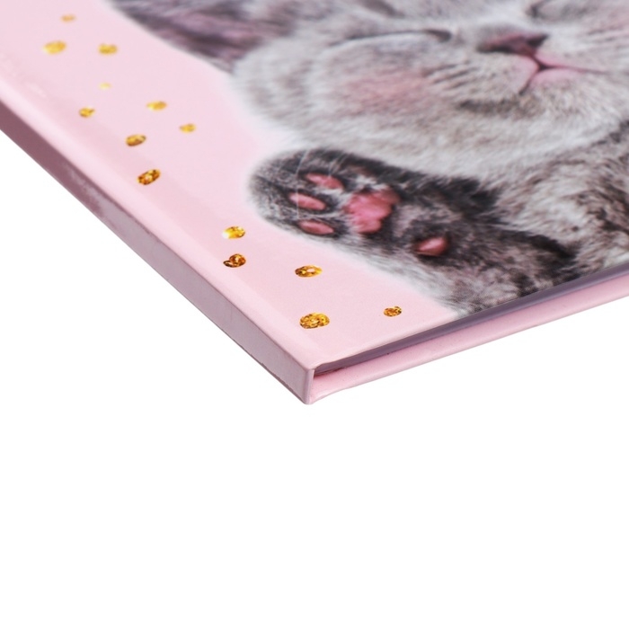 Дневник универсальный для 1-11 классов, Дневник универсальный для 1-11 классов, "Киса", твердая обложка 7БЦ, глянцевая ламинация, 40 листов