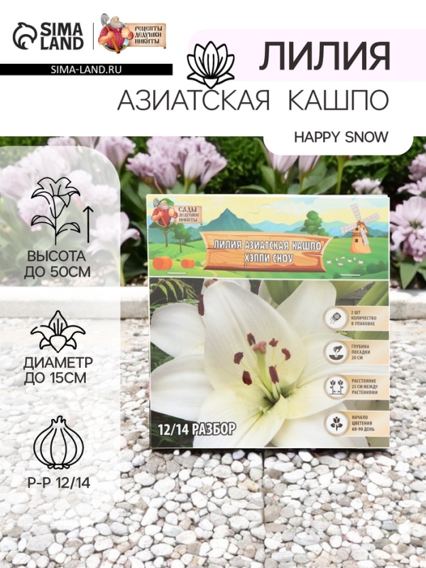 Лилия Азиатская Кашпо Happy Snow, луковица в пакете с перфорацией, р-р 12/14, 2 шт.