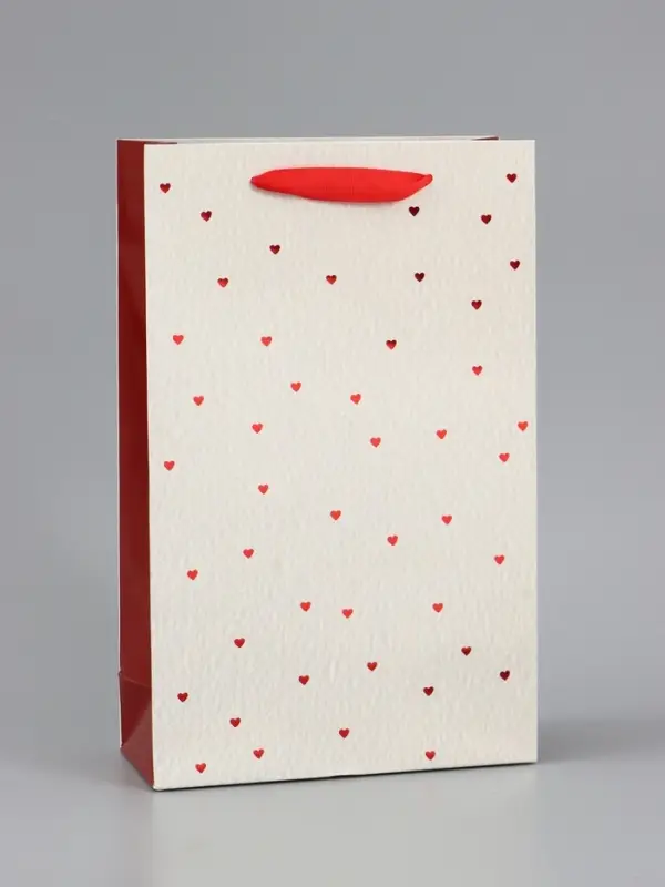 Пакет ламинированный &laquo;Важный момент&raquo;, 22.3&times;9&times;35 см
