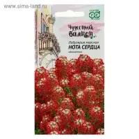 Семена цветов Лобулярия "Нота сердца", ц/п,   серия Чудесный балкон, 0,05 г