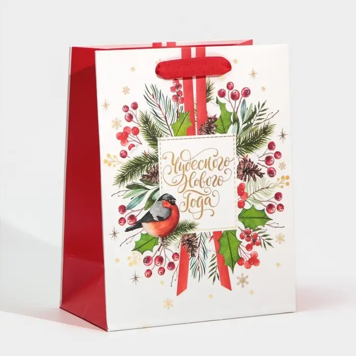 Пакет подарочный новогодний ламинированный «Чудесного Нового Года», MS 18 х 23 х 10 см