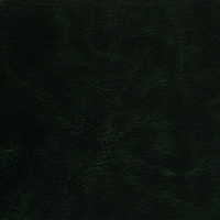 Ежедневник недатированный зелен,А5,145х205мм,136л, Sidney NEBRASKA 3-128/05