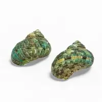 Набор ракушек декоративных, длина 4-5 см ширина 2 см, 2 шт.