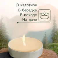 Набор свечей ароматических чайных, антимоскитные, 12 г, 6 шт.