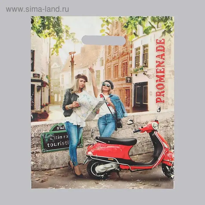 Пакет «Прогулка» полиэтиленовый с вырубной ручкой, 50 мкм, 30×40 см