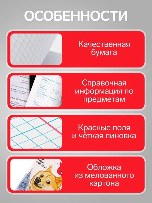 Предметная тетрадь по английскому языку Calligrata &laquo;Животные мемы&raquo;, 36 листов, в клетку, со справочным материалом, обложка из мелованной бумаги