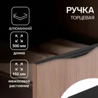 Ручка профильная мебельная торцевая CAPPIO RP100BL1, L=300 мм, чёрная, 4 шт.