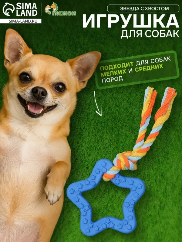 Игрушка жевательная с канатом &laquo;Звезда с хвостом&raquo;, синяя