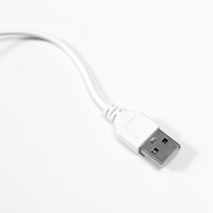 Лампа настольная прищепка сенсор 3 режима LEDх14 "Золотая полоса" лупа USB, 3ААА 44х15х6 см RISALUX