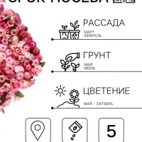 Семена цветов Петуния &laquo;Джоконда&raquo;, F1, нежность, 5 шт., Farao, &laquo;АЭЛИТА&raquo;