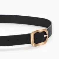 Ремень женский, 2.7&times;105 см, 1 прокол, золотистая пряжка, чёрный