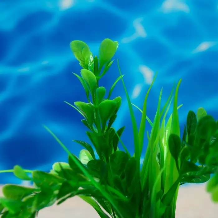 Растение искусственное