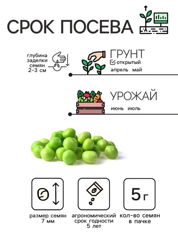 Семена Горох  Семена Горох "Амброзия", сахарный, 5 г