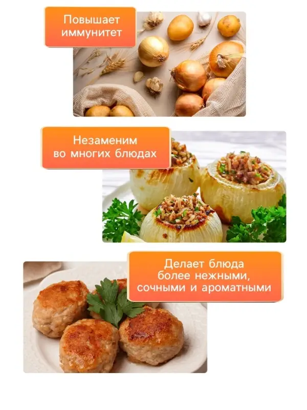 Семена Лук репчатый  Семена Лук репчатый "Эксибишен", 0,2 г