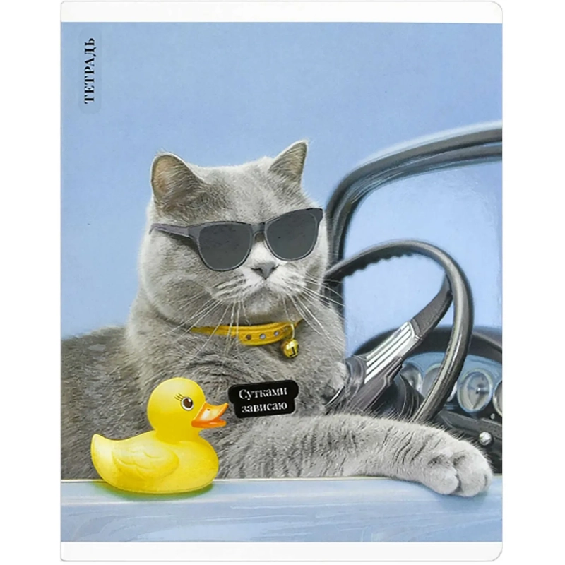Тетрадь 48 л, клетка   КОТ С УТКОЙ А5+, в ассорт/70924