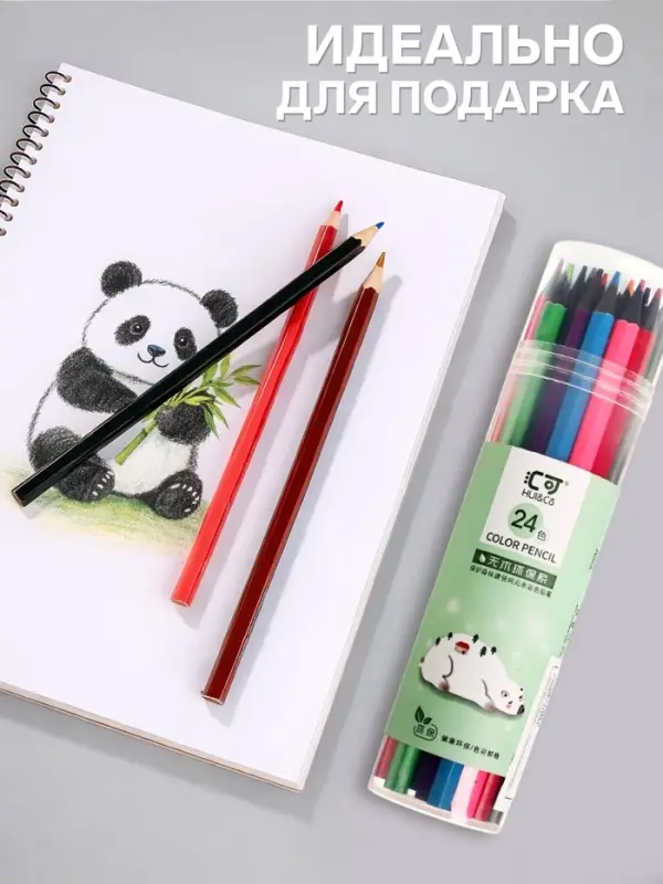 Карандаши цветные 24 в, тубусах, корпус шестигранный, пластиковый, чёрное основание