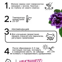 Семена комнатных цветов Глоксиния &laquo;Аванти&raquo;, смесь, F1, 4 шт., &laquo;Гавриш&raquo;