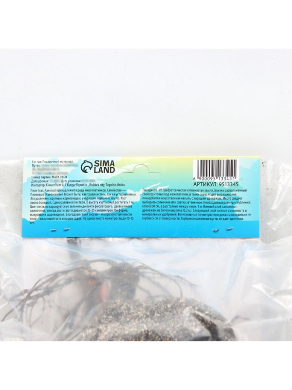 Пион Madame Calot, корневище в пакете с торфогрунтом, р-р 2/3, 1 шт. Пион Madame Calot, корневище в пакете с торфогрунтом, р-р 2/3, 1 шт.