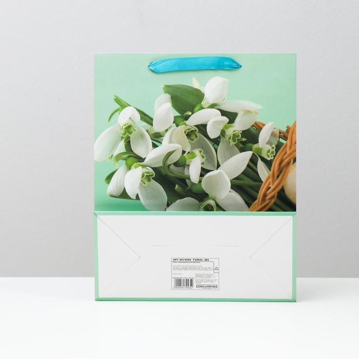 Пакет ламинированный, 26 x 32 x 12 см Пакет ламинированный, 26 x 32 x 12 см