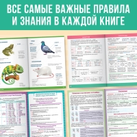 Набор «Сборники шпаргалок для начальной школы», 4 книги, 7+