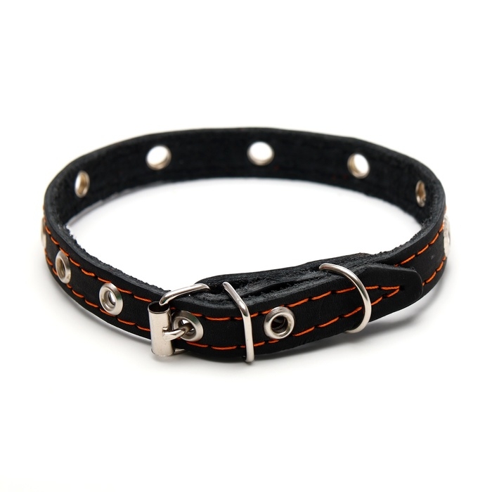 Ошейник кожаный однослойный с рифлеными люверсами, 35х1,2 см, ОШ 10-28 см, безразмерный, микс цветов Ошейник кожаный однослойный с рифлеными люверсами, 35х1,2 см, ОШ 10-28 см, безразмерный, микс цветов