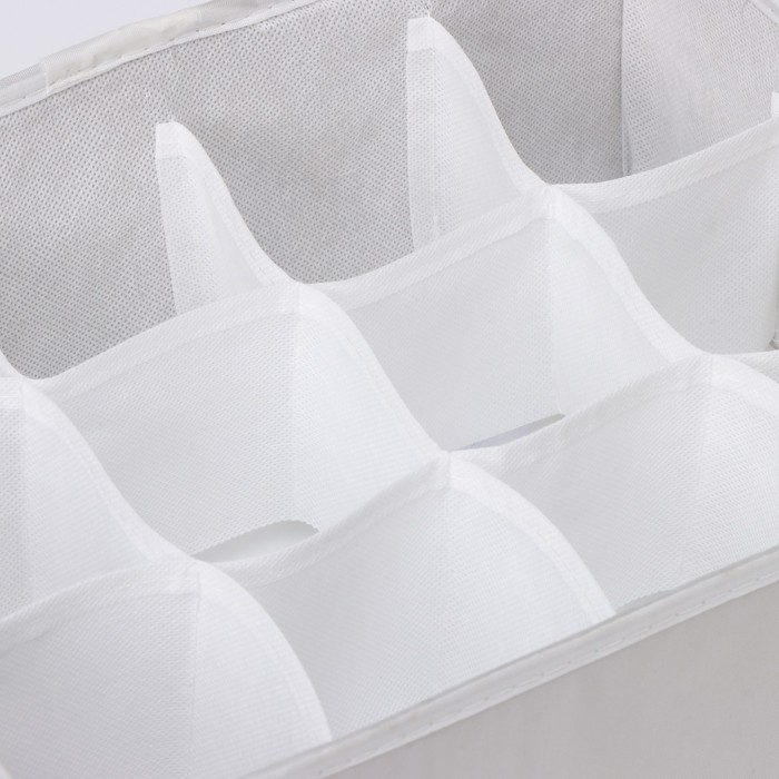 Органайзер для хранения белья LaDо́m, 12 ячеек, 32×24×12 см, цвет серый