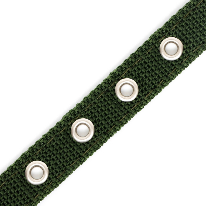 Ошейник двухслойный с вертлюгом, 2 см, зелёный Ошейник двухслойный с вертлюгом, 2 см, зелёный