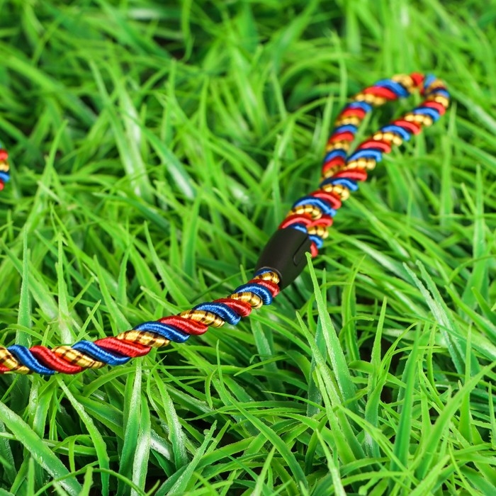 Поводок круглый Поводок круглый "Скрутка", 1 х 120 см, сине-красно-жёлтый