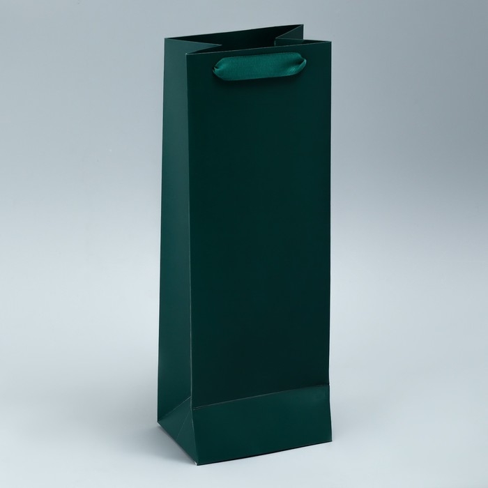Пакет подарочный под бутылку, упаковка, «Present», 36 х 13 х 10 см Пакет подарочный под бутылку, упаковка, «Present», 36 х 13 х 10 см